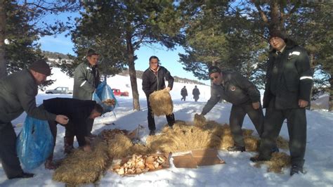 Amasya'da yaban hayvanları için doğaya 750 kilogram yem bırakıldı - Son Dakika Haberleri